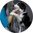 Employee Comm tile